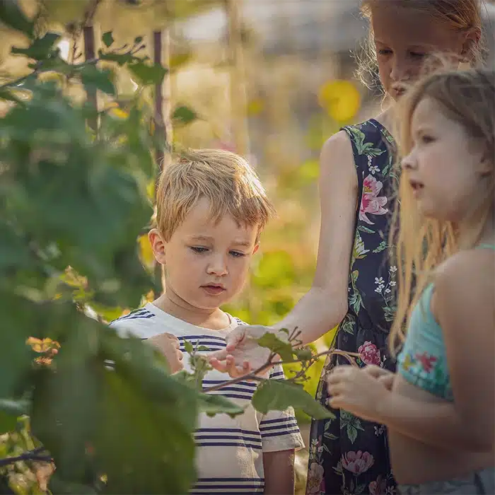 demarche ecologique glamping cosycamp